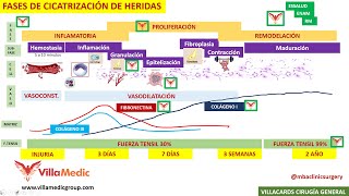 FASES DE LA CICATRIZACIÓN DE HERIDAS BY mbaclinicsurgery [upl. by Nihsfa]