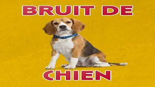 bruit de CHIEN 🐶 Aboiement [upl. by Drofnelg]