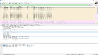 716 Lab  Use Wireshark to Examine Ethernet Frames [upl. by Wolram]