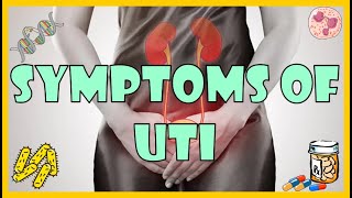 Urinary Tract Infection UTI Symptoms Causes amp Risk Factors [upl. by Chevy452]