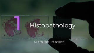 Histopathology [upl. by Yseulte]