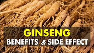 Ginseng Benefits and Side Effects May Fight Tiredness and Increase Energy Levels [upl. by Ayatan609]