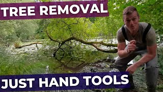 How to Remove a Fallen Tree from a Lake [upl. by Hillie]