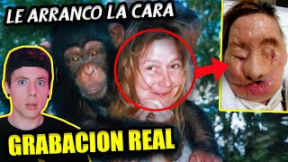 Un CHIMPANCÉ le ARRANCÓ la CARA  El TERRORÍFICO CASO de CHARLA NASH GRABACIÓN REAL [upl. by Hacissej]