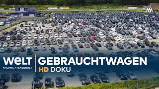 Heiligs Blechle  Deutschlands größter Gebrauchtwagenhandel  Doku [upl. by Heins]