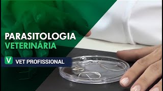 Parasitologia Veterinária I VET Profissional [upl. by Sawyor]