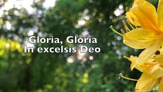 The Gloria In Excelsis Deo Clap Clap Anderson with lyrics [upl. by Ailama]