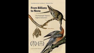 From Billions To None The Passenger Pigeons Flight to Extinction [upl. by Ariahay]