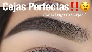 Cejas Perfectas Facil Paso a Paso  Monika Sanchez [upl. by Aisa]