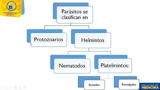 Clase 45 Generalidades de parásitos [upl. by Iridissa]