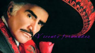 Vicente fernandez mix [upl. by Rolf318]