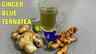 BLUE BUTTERFLY PEA FLOWERS AND GINGER TEA  Clitoria Ternatea Health Benefits [upl. by Ahsieker600]