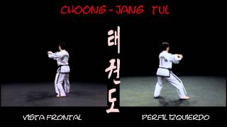 ChoongJang Tul 2º Dan [upl. by Payton]