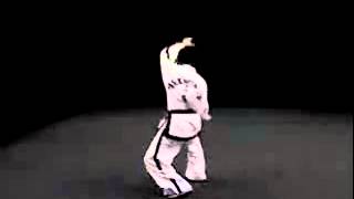 9 CHOONG MOO Tul Taekwon Do ITF [upl. by Etnuahc328]