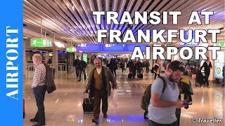 TRANSIT WALK AT FRANKFURT Airport FRA Terminal 1  Connection Flight Transfer Arriving amp Departing [upl. by Elolcin]