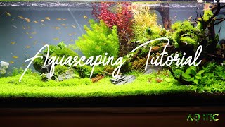 Step by Step Aquascaping Tutorial 200L [upl. by Ahseirej]