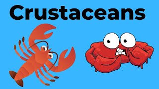 Characteristics of Crustaceans [upl. by Nyllek306]