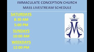 Immaculate Conception Church Livestream [upl. by Carlene]