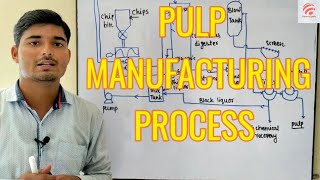 Pulp manufacturing process  Chemical Pedia [upl. by Oibirot]