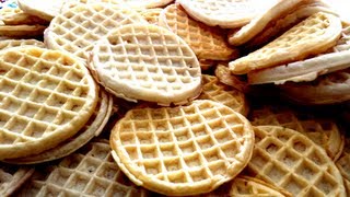 100 Eggo Waffle Challenge [upl. by Edik]