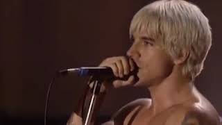 RED HOT CHILI PEPPERS  Californication live in Woodstock [upl. by Ojytteb]