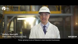 Panax ginseng Sustainable Sourcing amp Careful Extraction by Naturex [upl. by Hteboj]