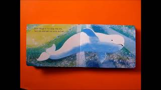 BABY BELUGA  CHILDRENS STORIES [upl. by Allan322]