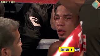 Felix Verdejo VS Antonio Lozada JR Highlights [upl. by Aramahs]