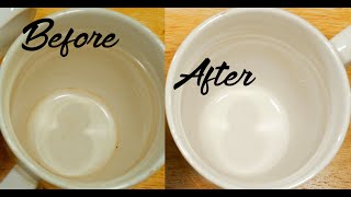 How To Remove Coffee Stains From Mug Easy Simple [upl. by Cassandra]